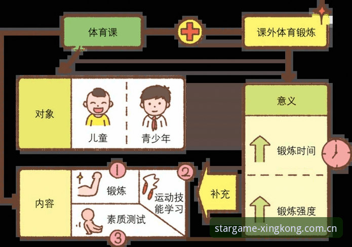 星空体育平台使用技巧深度分析：从入门到精通的全面解析